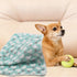 1 Pack 3 Puppy Blankets Fluffy Fleece Warm Sleep Mat with Love Print for Small Dogs & Cats, Mix Love-Small (23"x15")