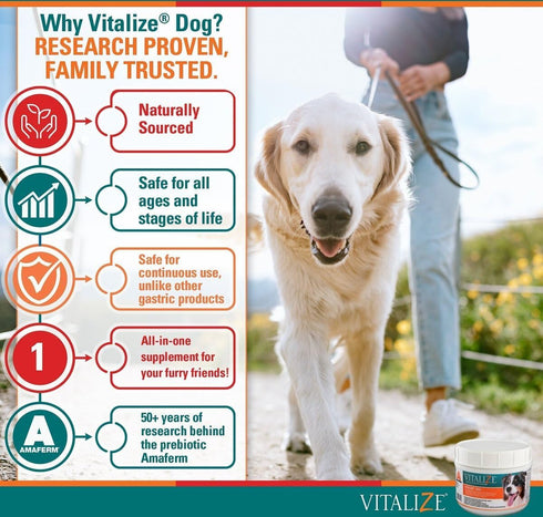 Vitalize Dog Digestive Health Powder - Relief for Constipation, Nausea, Skin & Coat Supplement, 1 Pound