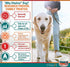 Vitalize Dog Digestive Health Powder - Relief for Constipation, Nausea, Skin & Coat Supplement, 1 Pound