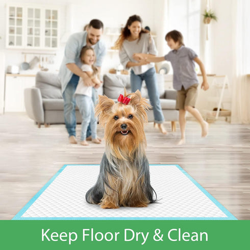 24"x24" (75 Count), Housetraining Deep Dear Pet Training and Puppy Pads Super Absorbent Pee Pads for Dogs, Leak-Proof