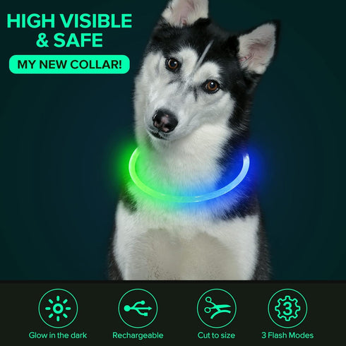 LED Dog Collar Light Up Dog Collars 1 Count USB Rechargeable TPU Glow Safety Basic Collars for Large Medium Small Dogs