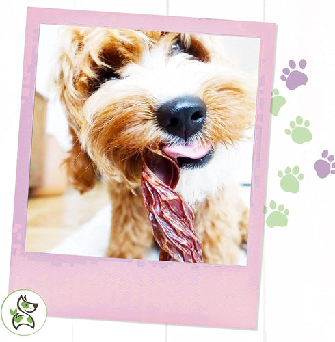 Nature Gnaws - Beef Jerky Springs for Dogs - Premium Natural Beef Gullet Sticks