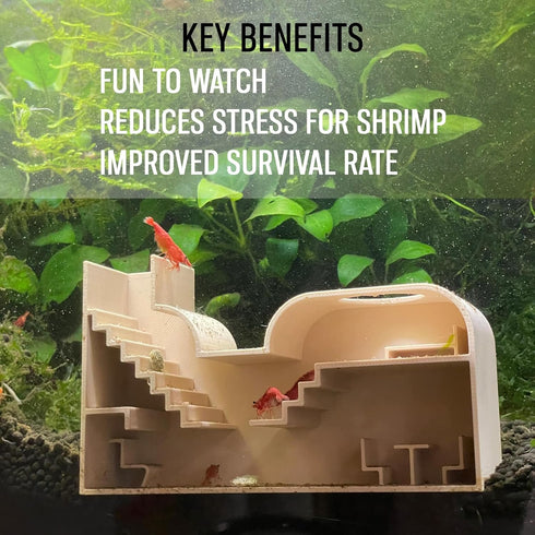 Cozy Aquarium Shrimp Rental Studio. Large Shrimp Studio for Rent. All-Inclusive Facility. Luxury & Shrimp Studio. Made