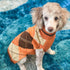 Dog Sweater - Classic Plaid Knitted Turtleneck for Small Medium Dogs and Cats, Warm Winter Clothing