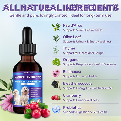 2PCS Immune 120 ml/4 Oz Dog Antibiotics Support - Natural Antibiotics Care for Dogs Herbal Supplement for Cough Allergy