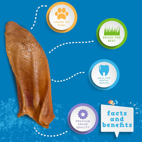 Jack&Pup Pig Ears for Dogs (30 Pack) - Extra Thick Half Pigs Ears, Premium Healthy Pork Chews