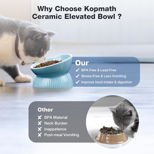 Elevated Cat Bowl, Ceramic Tilted Food Bowl, Anti Vomiting, Dishwasher Safe for Indoor Cats