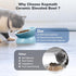 Elevated Cat Bowl, Ceramic Tilted Food Bowl, Anti Vomiting, Dishwasher Safe for Indoor Cats