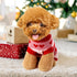 Dog Heart Knitted Sweater - Warm Pet Clothes for Small Puppies & Cats (Red, M)