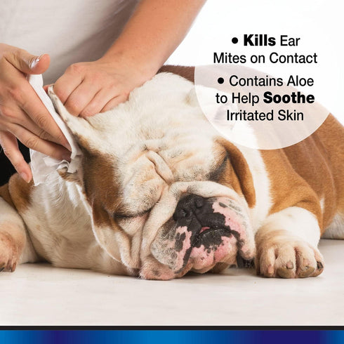 Aloe Ear Mite Treatment for Dogs