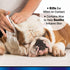 Aloe Ear Mite Treatment for Dogs