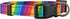 Native Pup Reflective Dog Collars, Large, Rainbow