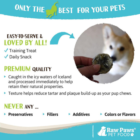 Raw Paws Cod Skin Rolls for Dogs, 5 oz – Icelandic Cod Skins, Fish Skin Chews, Dried Fish Treats