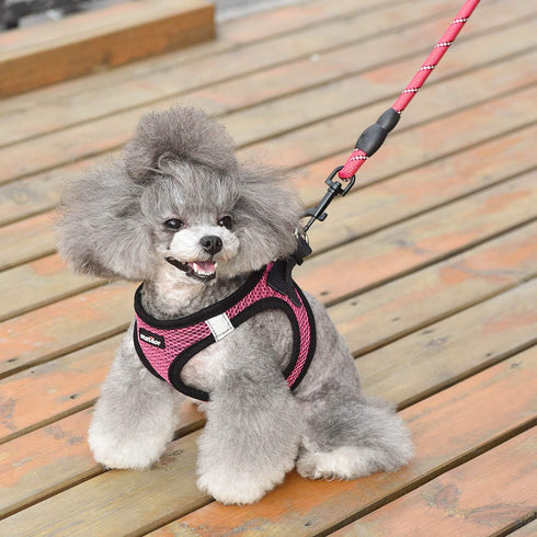 Dog Harness, Step-in Breathable Vest for Small Medium Dogs