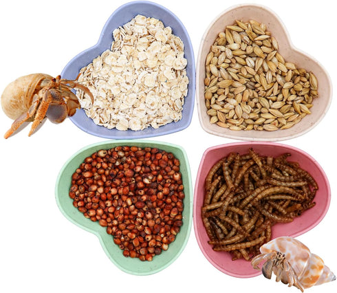 Neeenn 4 Pack Hermit Crab Plastic Food Dish, Hermit Crab Food & Water