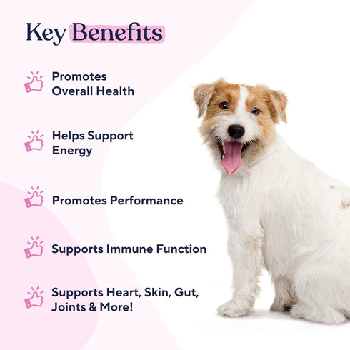 Pawfy Multivitamin Chews | 15 in 1 Premium Supplement for Immunity, Joints, Skin, Coat, Energy with Vitamins