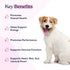 Pawfy Multivitamin Chews | 15 in 1 Premium Supplement for Immunity, Joints, Skin, Coat, Energy with Vitamins
