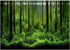 PVC Fish Tank Background Adhesive - Underwater Forest Tank Background Poster Decoration (24.02x16.14in)