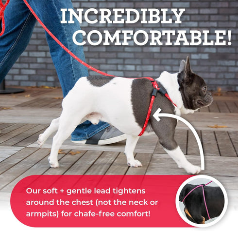 Harness Lead No Pull Dog Harness and Leash Set - Anti Pull Design for All Breeds and Sizes, One-Piece Cushioned Rope