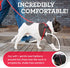 Harness Lead No Pull Dog Harness and Leash Set - Anti Pull Design for All Breeds and Sizes, One-Piece Cushioned Rope