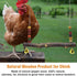 Chicken Bird Swing,Chicken Perch,Natural Wooden Swing Toys,Wood Stand for Chick,Safe and Relief of Stress,Chicken Coop