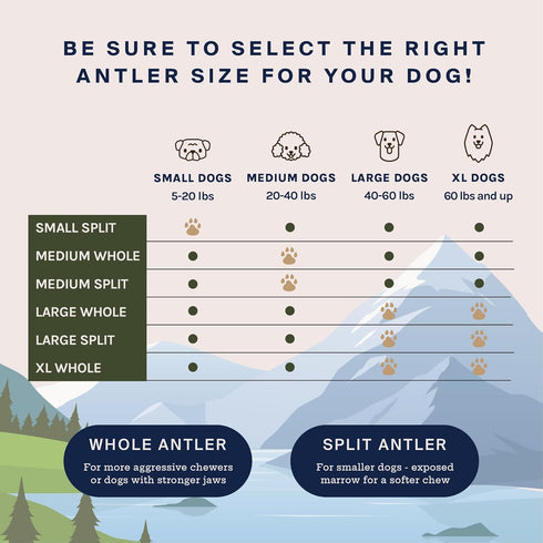 Premium Elk Antlers for Large Dogs by Good Trouble Pets - All-Natural Shed Antler Chews for Dental Health & Calming