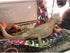 KUDES Bearded Dragon Hammock, Reptile Lizard Lounger Accessories for Large Small Bearded Dragons Geckos Lizards