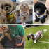 Geyoga 6-Piece Cute Printed Dog Shirts, Cotton Pet Sweatshirts for Dogs (M)