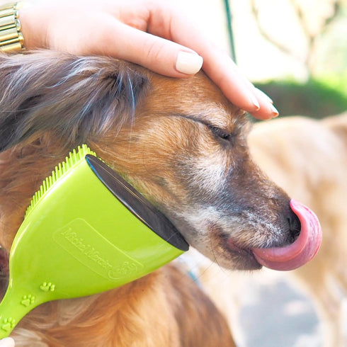 Michel Mercier Pet Detangling Brush for Fine or Normal Fur - Grooming and Deshedding Brush for Cats and Dogs