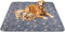 Washable Pee Pads for Dogs, 2 Pack 41"x41" Reusable Puppy Pads, Waterproof