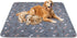 Washable Pee Pads for Dogs2Pack 31x36 Reusable Puppy Pads with Bone Print,