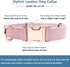 Soft Leather Dog Collar and Leash Set (6.6') - Stylish Rose Gold Heavy Duty Metal Buckle, 4 Adjustable Lengths for