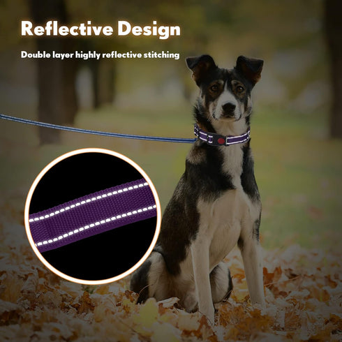 Silkfly 9 Sets Dog Collar and Leash Set, Reflective Nylon, Adjustable Dog Collar, Padded Handle, Walking Training