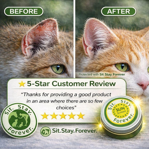 2 oz Sit Stay Forever Organic Sunscreen for Dogs and Cats, Dog Sunscreen, Dog Beach Essentials, Pet Sunscreen Cream