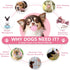 6 Pack Dog Toys for Small Dogs, Pink Soft Rubber Puppy Toys for Teething, Funny Slippers Ball Donut Interactive Set