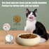 6.1 Inch Yellow Cat Bowls, 7 oz Ceramic Cat Food Bowl, Anti-Vomiting, Whisker Fatigue Relief, Protect Spine for Indoor