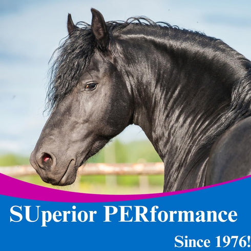 1 SU-PER Chasteberry Supplement for Horses - Supports Hormone Regulation & Healthy Pituitary Gland Function in Mares