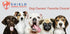 Antimicrobial Toothbrush for Dogs, Professional Dental Care, Ergonomic Design, Quality Guaranteed