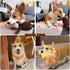 5 Pack Tough Dog Toys Assortment Bundle, Stuffed Squeaky Dog Toys, Squeak Toy for Medium Large Dogs, Puppy Pet Mutt