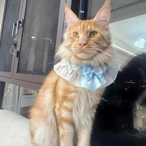 ANNUOZE 3 PCS Chiffon Cat Bibs with Bows, Sweet Lace Ruffle Dog Bib Collars, Cute Kitten Bandana Scarf, Pet Accessories