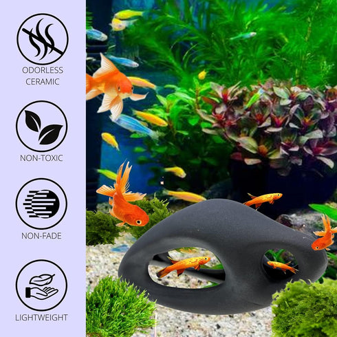 Corisrx Fish Tank by CORISRX
