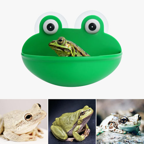 Frog Habitat Dish Holder with Suction Cups, Cute Frog Terrarium Decor for Fish Tank Decoration for Tree Frog Toad