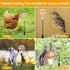 Kalekey 2 Pack Chicken Feeding Toy, Chicken Enrichment Toys with Spring and Ground Stake, Chicken Treat Dispenser Peck