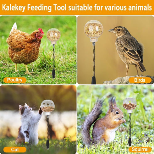 Kalekey 4 Pack Chicken Feeding Toy, Chicken Enrichment Toys with Spring and Ground Stake, Chick Treat Dispenser Peck