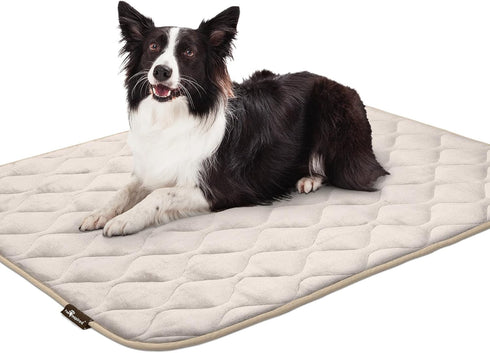 Paw Inspired Washable Padded Crate Mats for Dogs, 47” x 29” Pad, Leakproof Waterproof Bottom, Tan