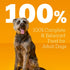13.2 oz. 12 Count Pedigree High Protein Wet Dog Food, Adult Soft Canned Dog Food, Beef & Bison Flavor, Cans