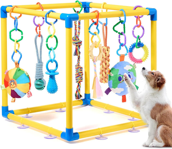 Puppy Play Gym with 8 Hanging Toys, Small Dogs Indoor Jungle Playground,