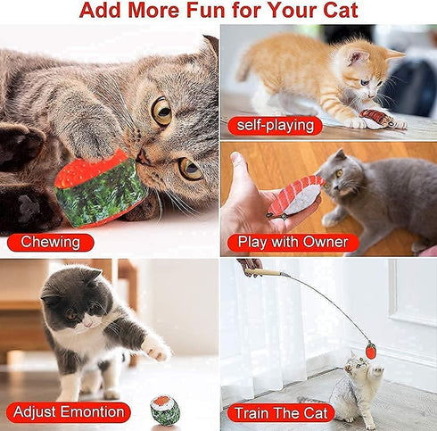 REKOBON Catnip Toys, 8 Pack Kitten Toys for Indoor Cats, Bite Resistant Chew Toy with Sushi Roll