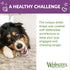 WHIMZEES by Wellness Natural Dental Chews for Medium Dogs, Long Lasting Treats, Grain-Free, 12 Count