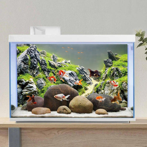 AWERT 48x24 inches Stone Fish Tank Background, Aquatic Plant River Bed & Lake Vinyl Background